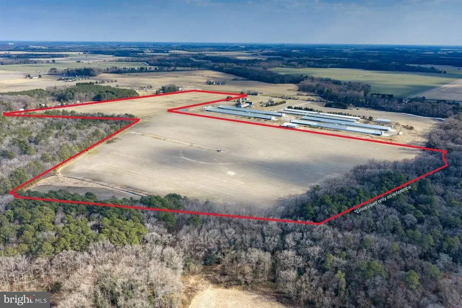 Liberty Rd, Federalsburg, MD 21632 - #3