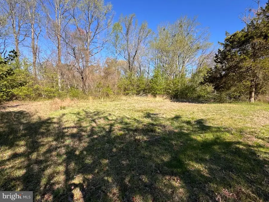 27202 Sandtown Rd, Goldsboro, MD 21636 - #2