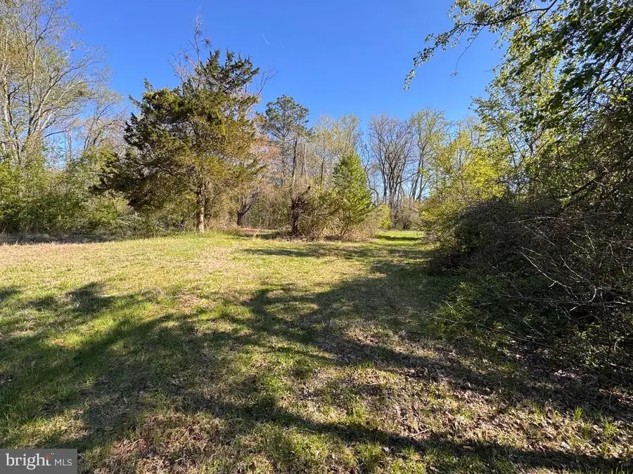 27202 Sandtown Rd, Goldsboro, MD 21636 - #3