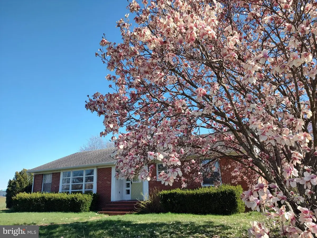 12397 Ridgely Rd, Ridgely, MD 21660 - #1