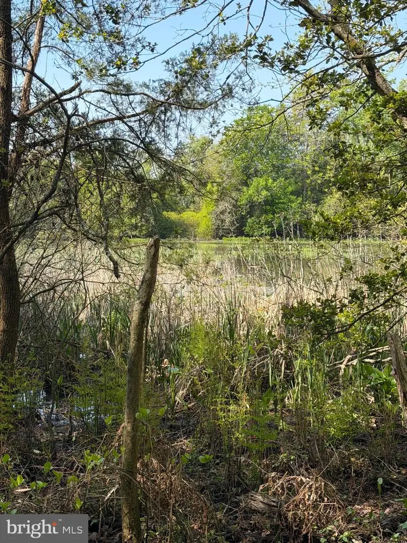 Parcel 15 Newton Rd, Preston, MD 21655 - #3