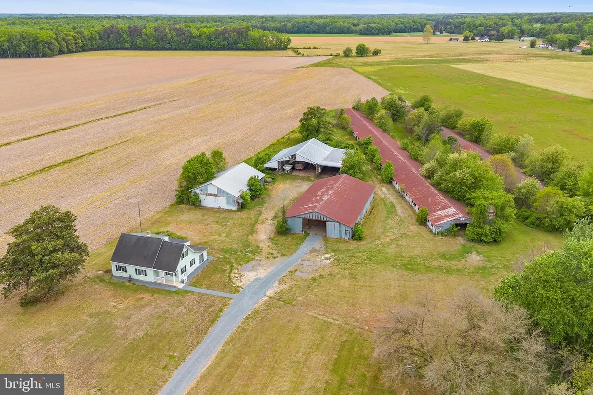 25699 Auction Rd, Federalsburg, MD 21632 - #1