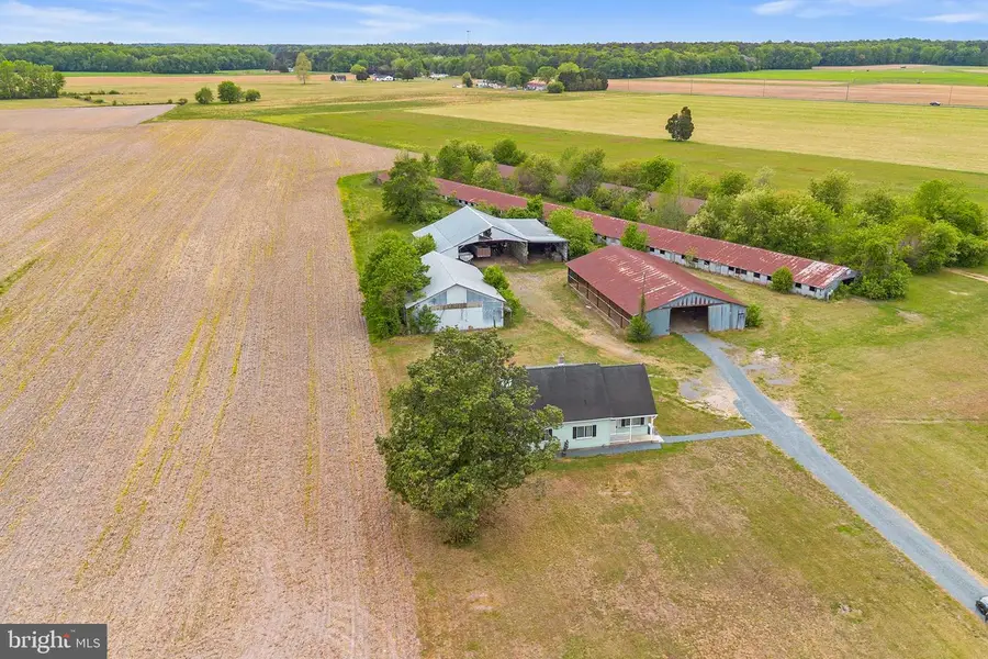 25699 Auction Rd, Federalsburg, MD 21632 - #2