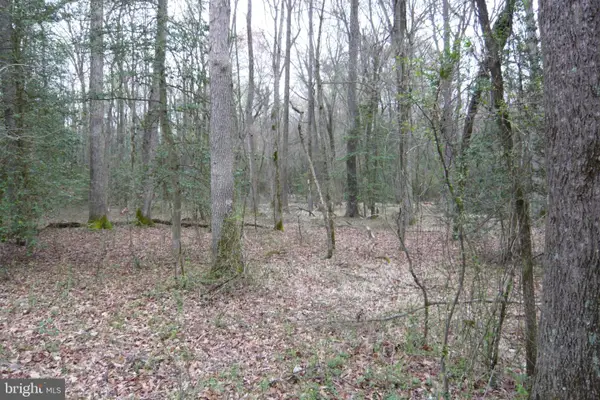 0 Trunk Rd, HENDERSON, MD 21640