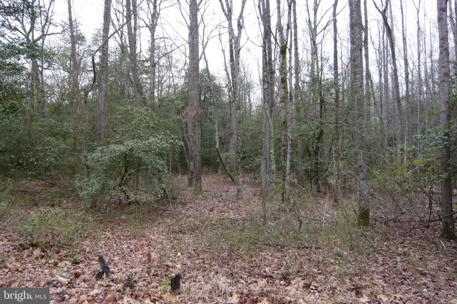 0 Trunk Rd, Henderson, MD 21640 - #2