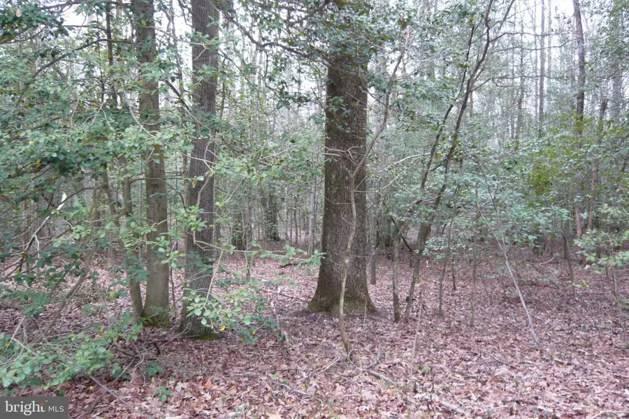 0 Trunk Rd, Henderson, MD 21640 - #3