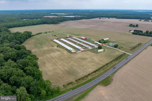7347 Harmony Rd, PRESTON, MD 21655