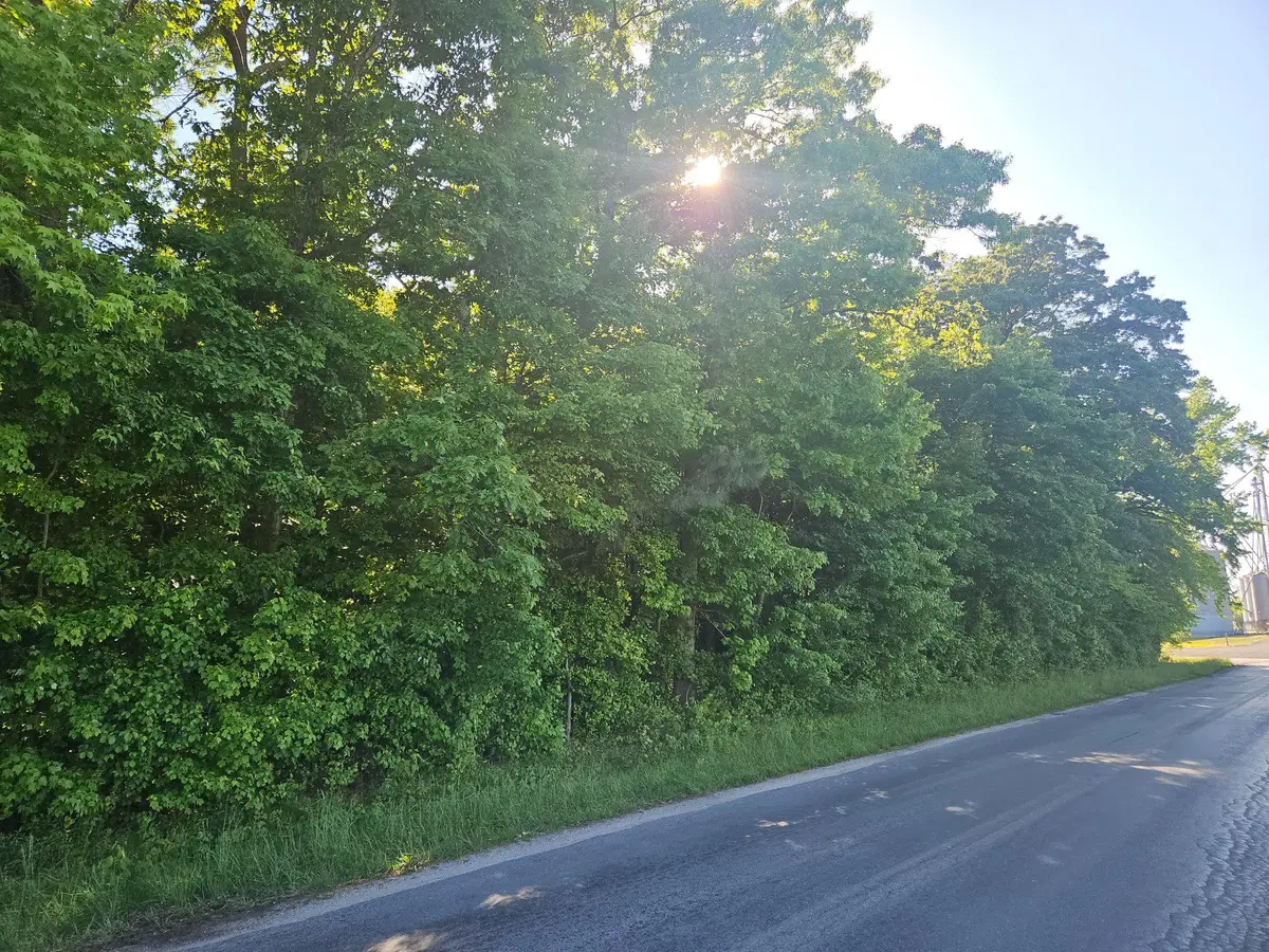 Lot 4 River Rd, Greensboro, MD 21639 - #1