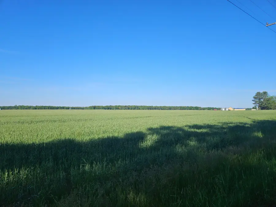 Lot 4 River Rd, Greensboro, MD 21639 - #2