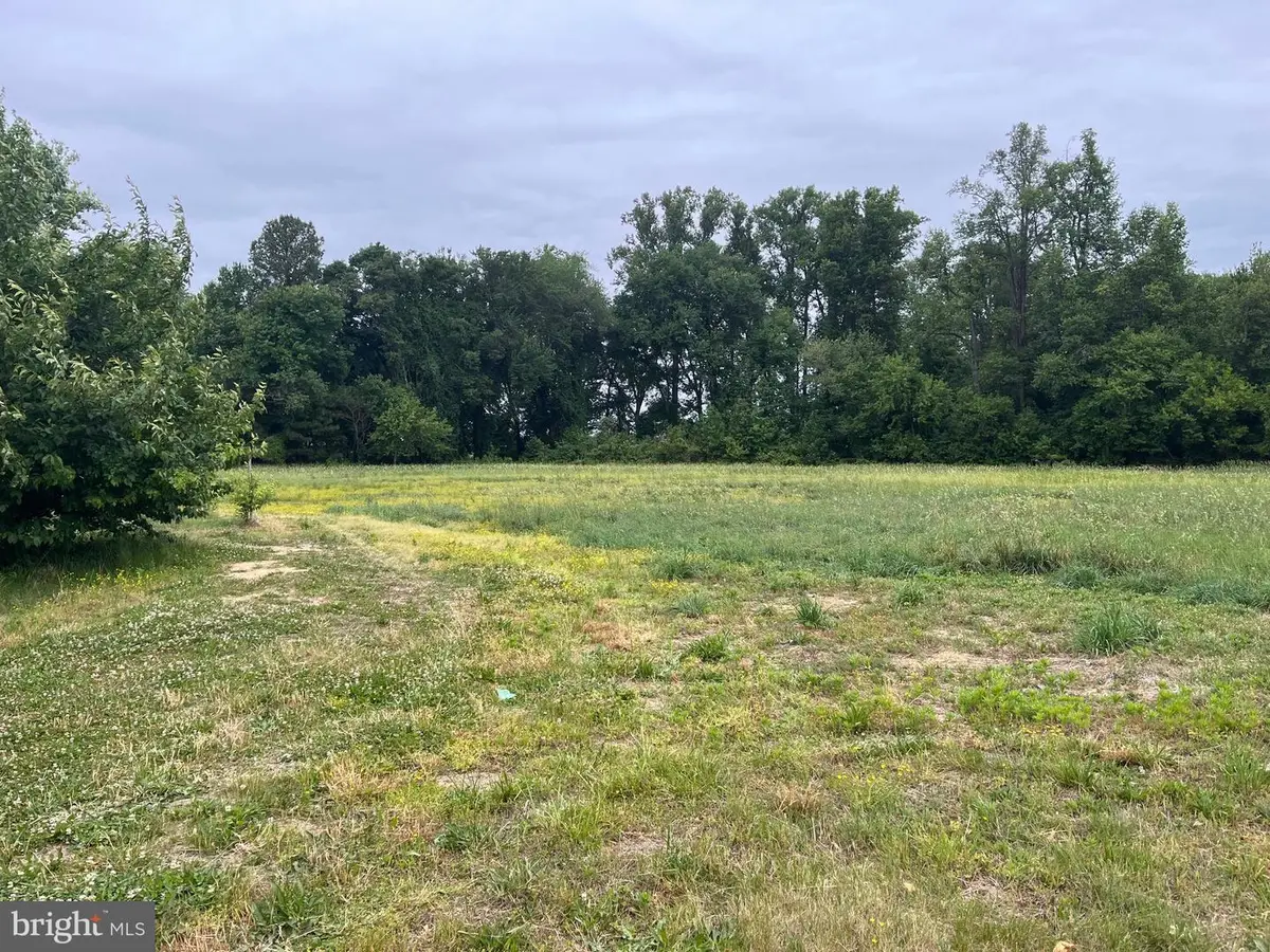 13006 Oakland, Ridgely, MD 21660 - #1