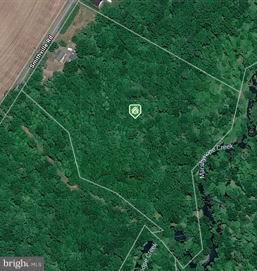 4455 Smithville Rd, Federalsburg, MD 21632 - #3