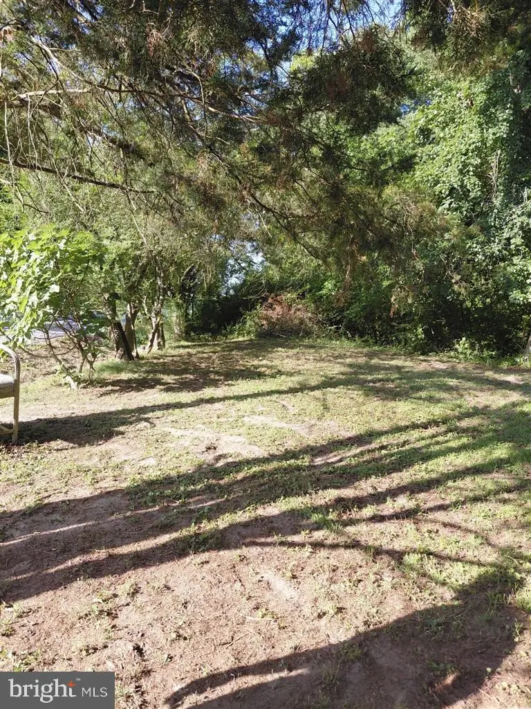 4471 Harmony Rd, Preston, MD 21655 - #3