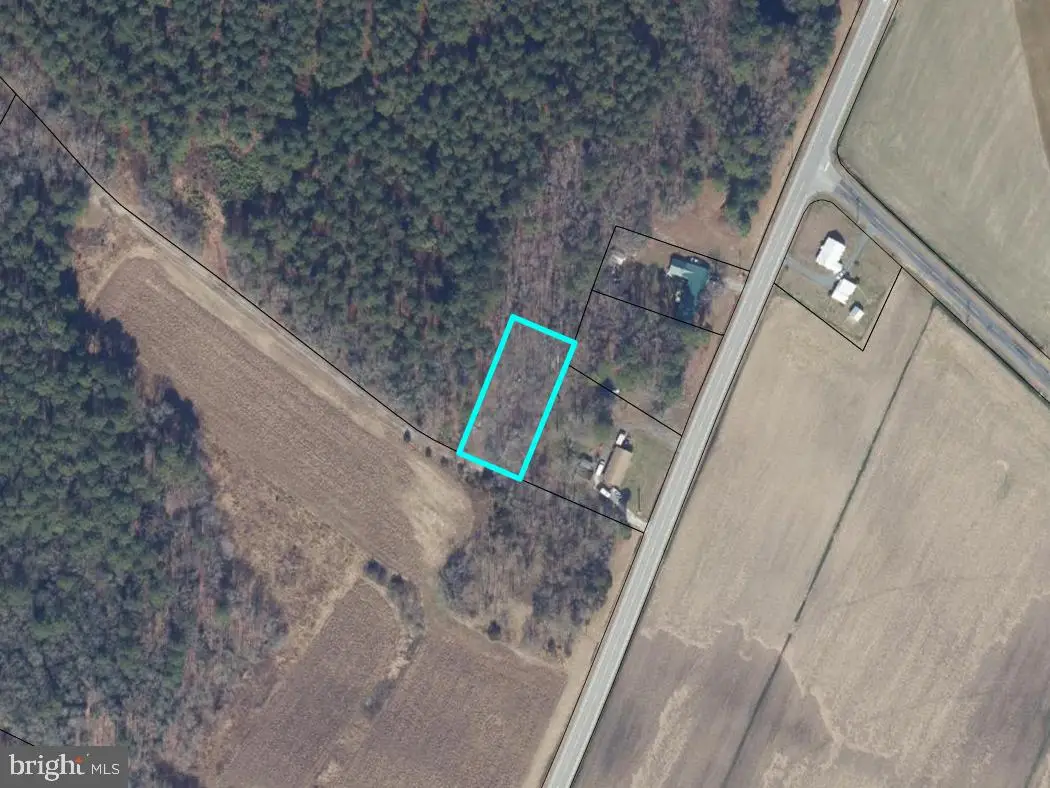 Houston Branch Rd, Federalsburg, MD 21632 - #1