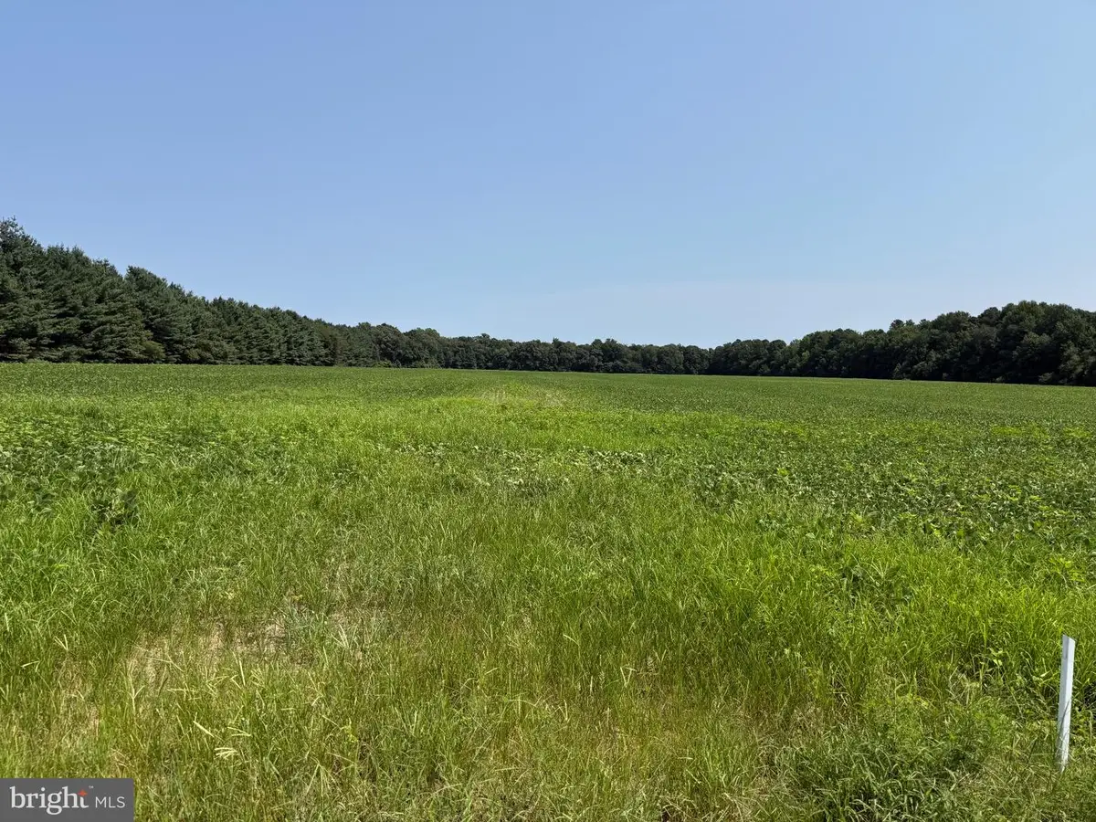 0000 Harmony Rd., Preston, MD 21655 - #1