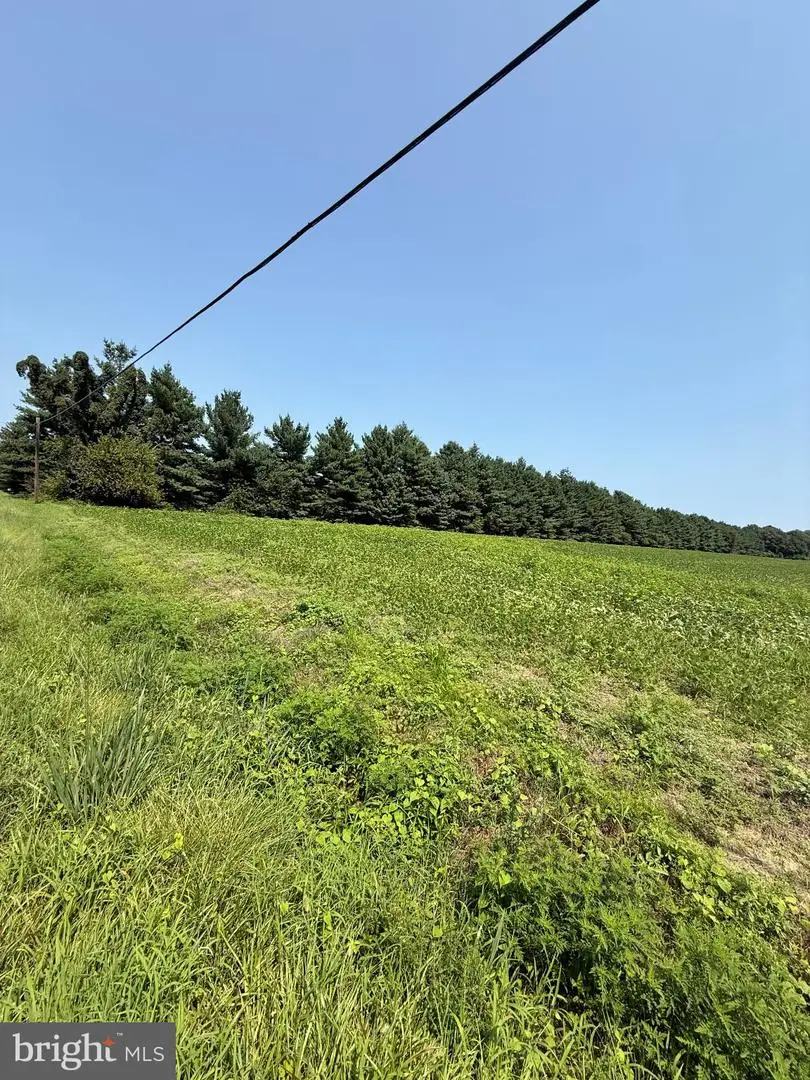 0000 Harmony Rd., Preston, MD 21655 - #3