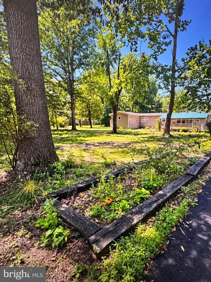 15078 Drapers Mill Rd, Greensboro, MD 21639 - #2