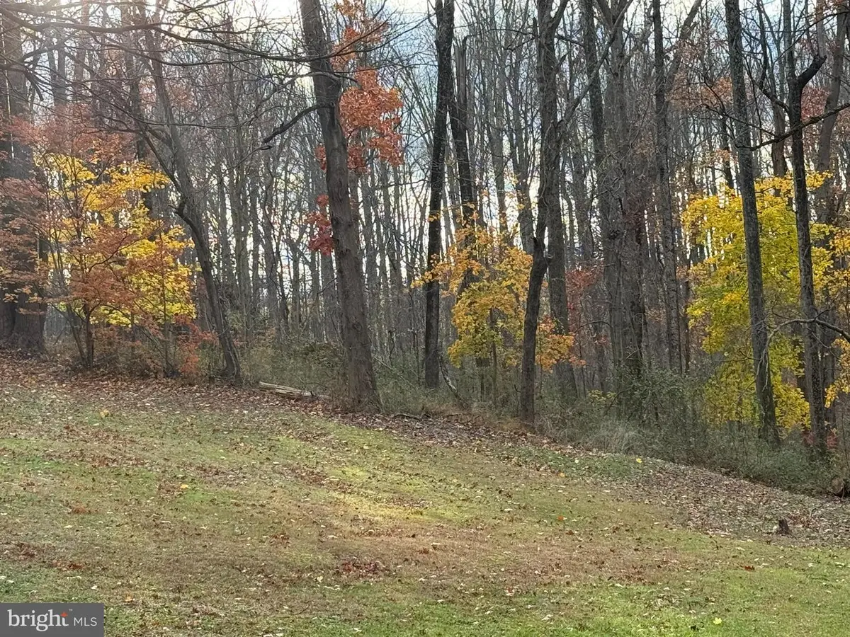 300 Discovery Dr, Westminster, MD 21157 - #1