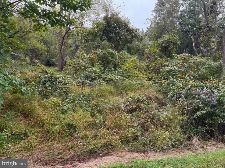 Martin Dr, Westminster, MD 21157 - #3