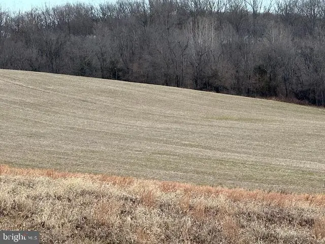 Brown Farm Remain Portion Cross Section Rd (near 2341 Cross Section Rd), Westminster, MD 21158 - #3