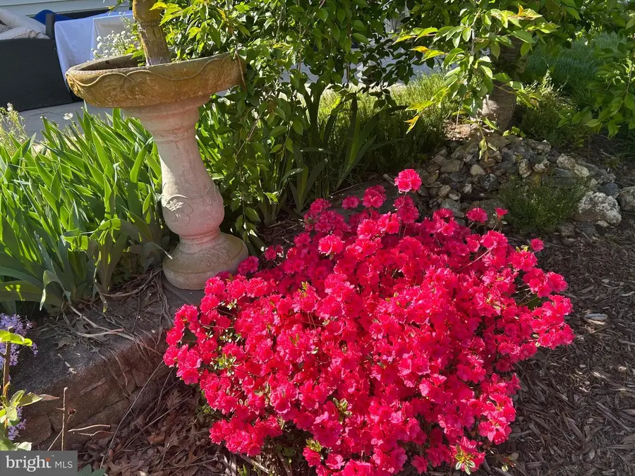 1809 Kings Forest Trl, Mount Airy, MD 21771 - #2