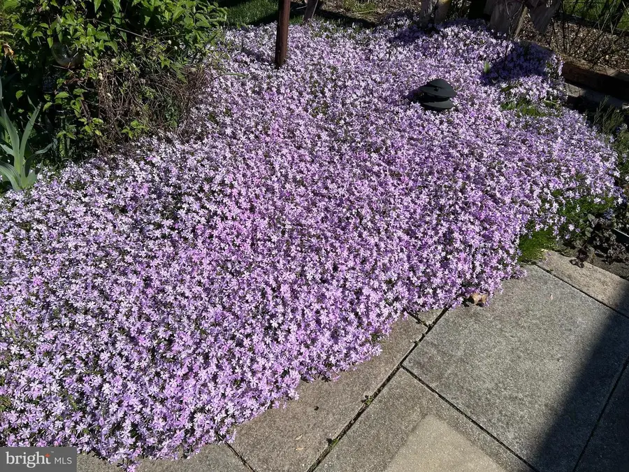 1809 Kings Forest Trl, Mount Airy, MD 21771 - #3