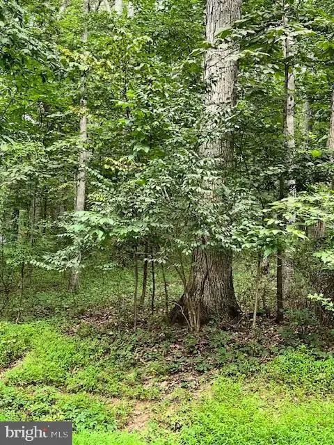 Baumgardner Rd S, Keymar, MD 21757 - #1