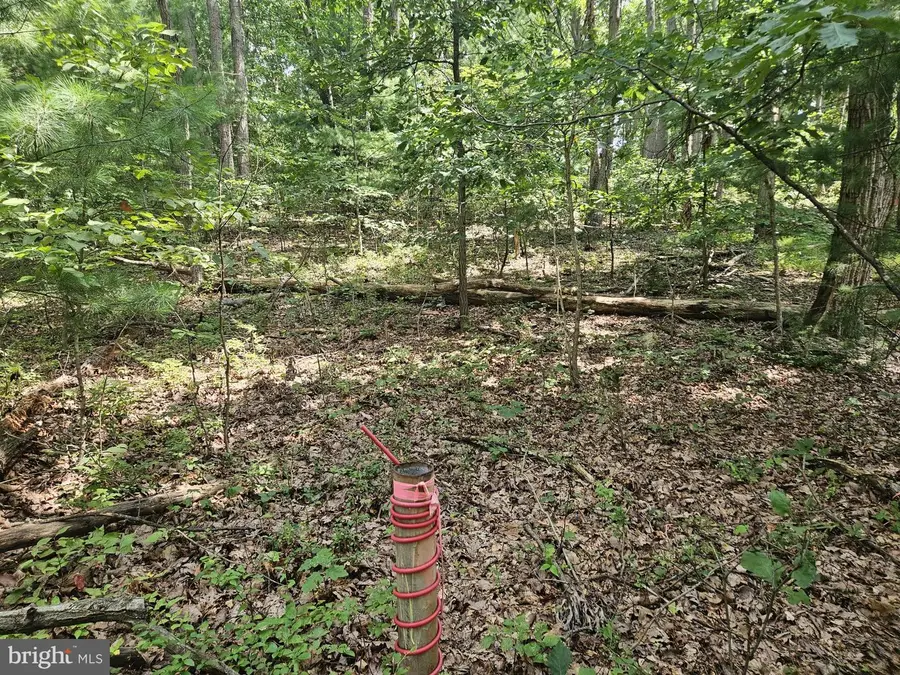 Nicodemus Rd, Westminster, MD 21157 - #2