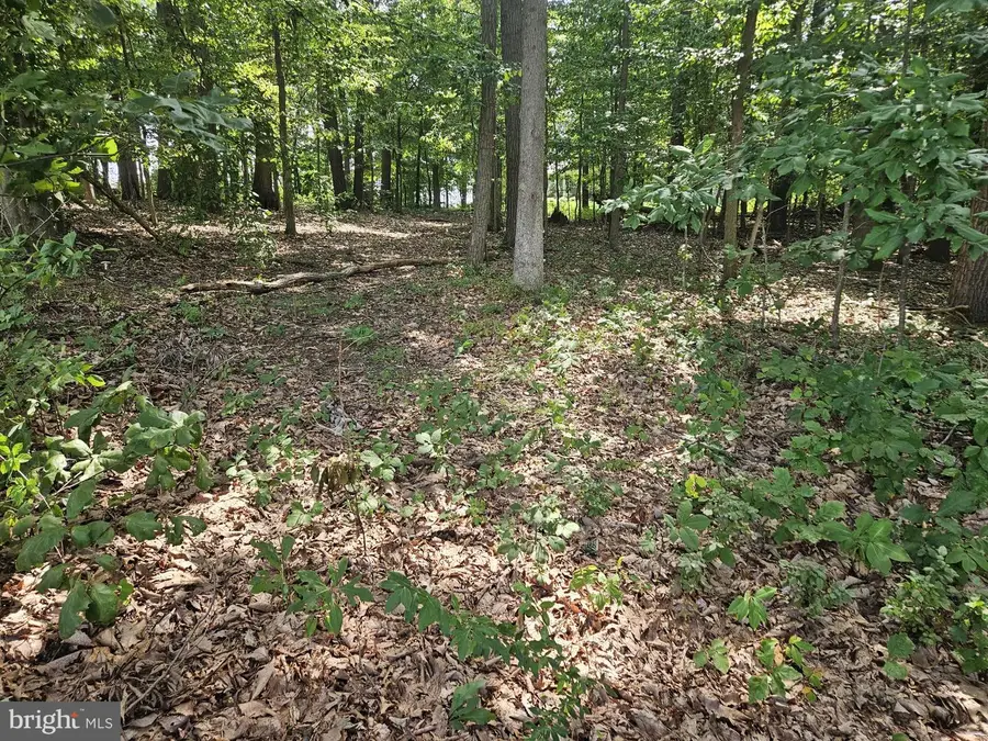 Nicodemus Rd, Westminster, MD 21157 - #3