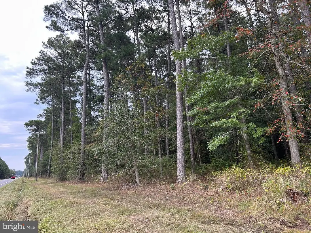 Hudson Rd, Cambridge, MD 21613 - Image #1