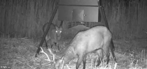 3241 Robbins Rd, Crapo, MD 21626 - Image #1