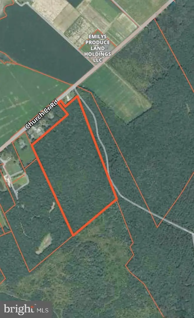 Sika, Whitetail & Turkey Church Creek Rd, Cambridge, MD 21613 - Image #1