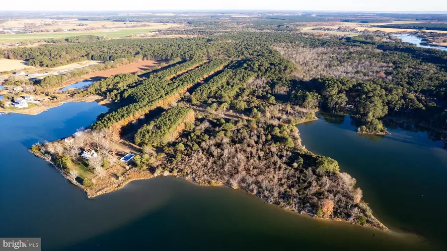 Gregory Rd, Cambridge, MD 21613 - Image #2