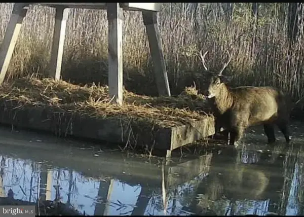 2651 Lakesville Crapo Rd, CRAPO, MD 21626