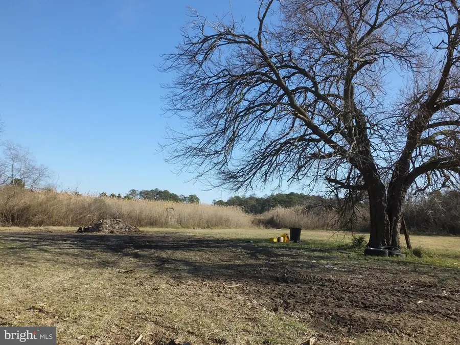 1213 Horse Point Rd, Fishing Creek, MD 21634 - Image #3