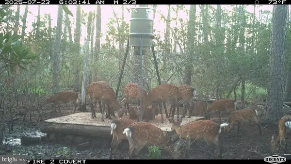 2257 Wingate Bishops Head Rd, WINGATE, MD 21675