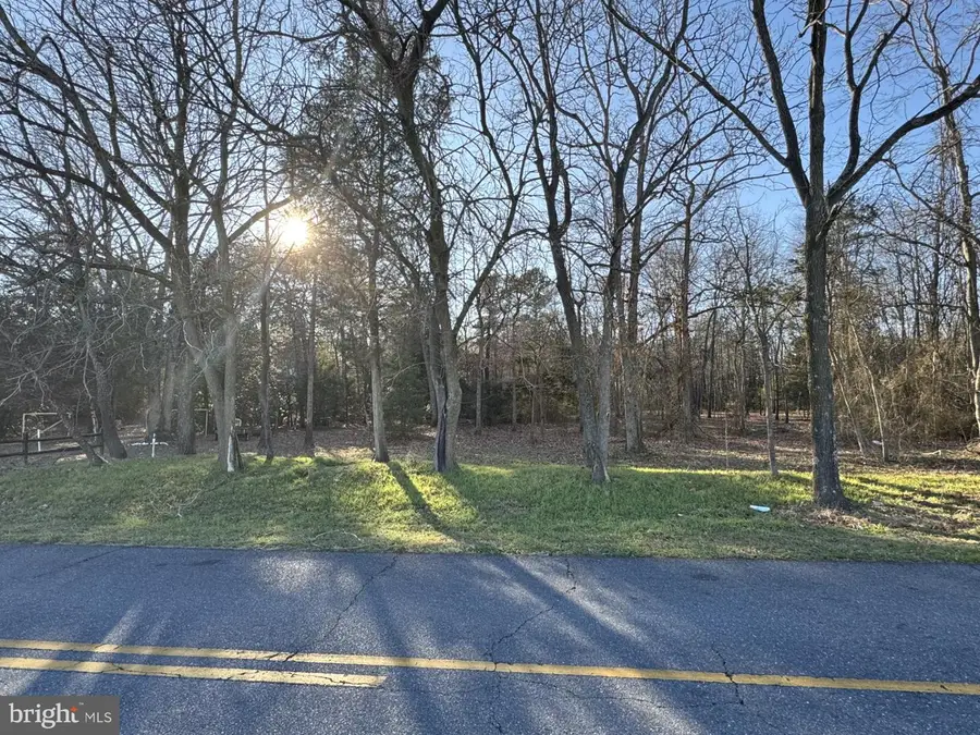 Williamsburg Rd, East New Market, MD 21631 - #2