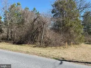 5513 Galestown - Newhart Mill, Galestown, MD 21659 - #2