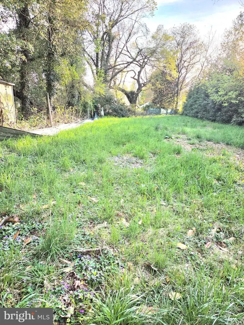 212 Main Street S, Hurlock, MD 21643 - #3