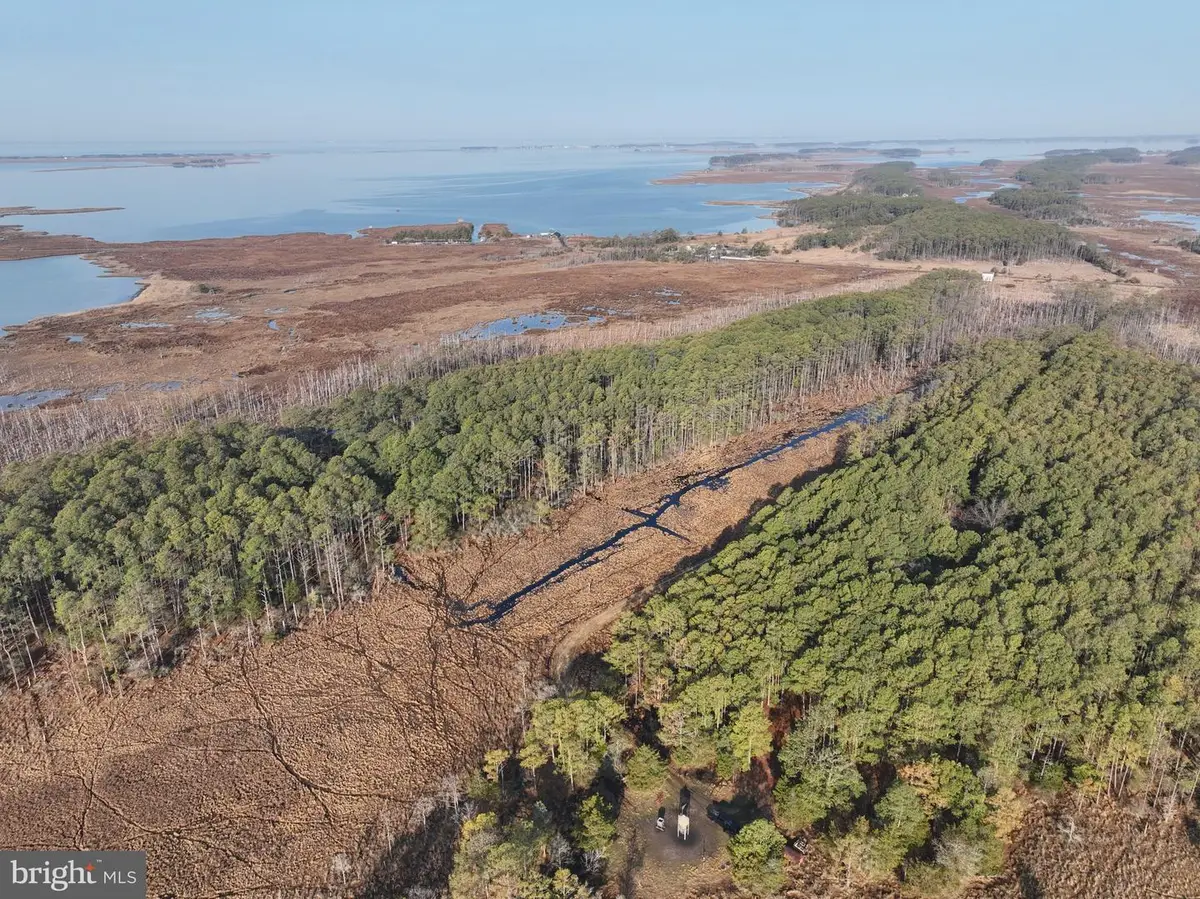 2373 Asquith Island Rd, Crapo, MD 21626 - #1