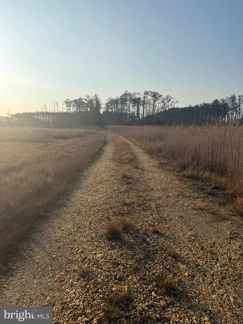 2373 Asquith Island Rd, Crapo, MD 21626 - #3