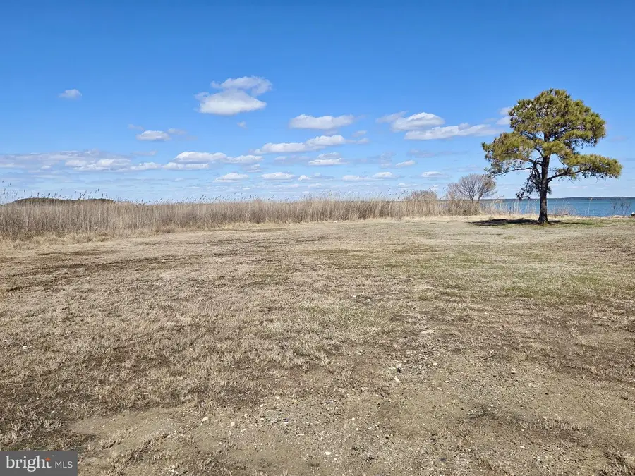 Waterfront Honga River --waterfowl Steamboat Wharf Rd, Fishing Creek, MD 21634 - #3