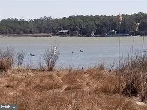 Ragged Point Rd, Cambridge, MD 21613 - #2