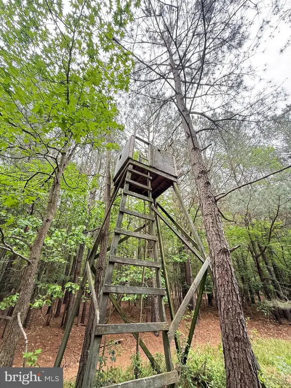 Taylors Island Rd, WOOLFORD, MD 21677