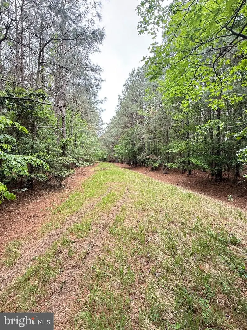 Taylors Island Rd, Woolford, MD 21677 - #3