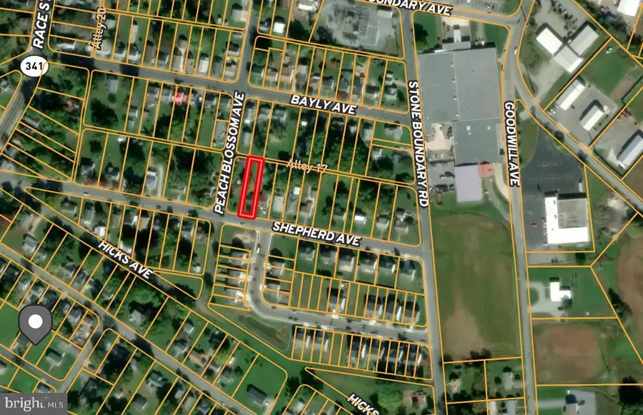 319 Shepherd Ave, Cambridge, MD 21613 - #3