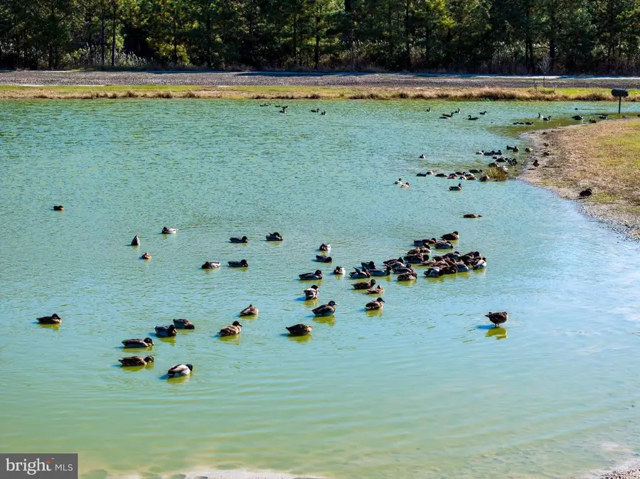 964 Taylors Island Rd, Madison, MD 21648 - #2