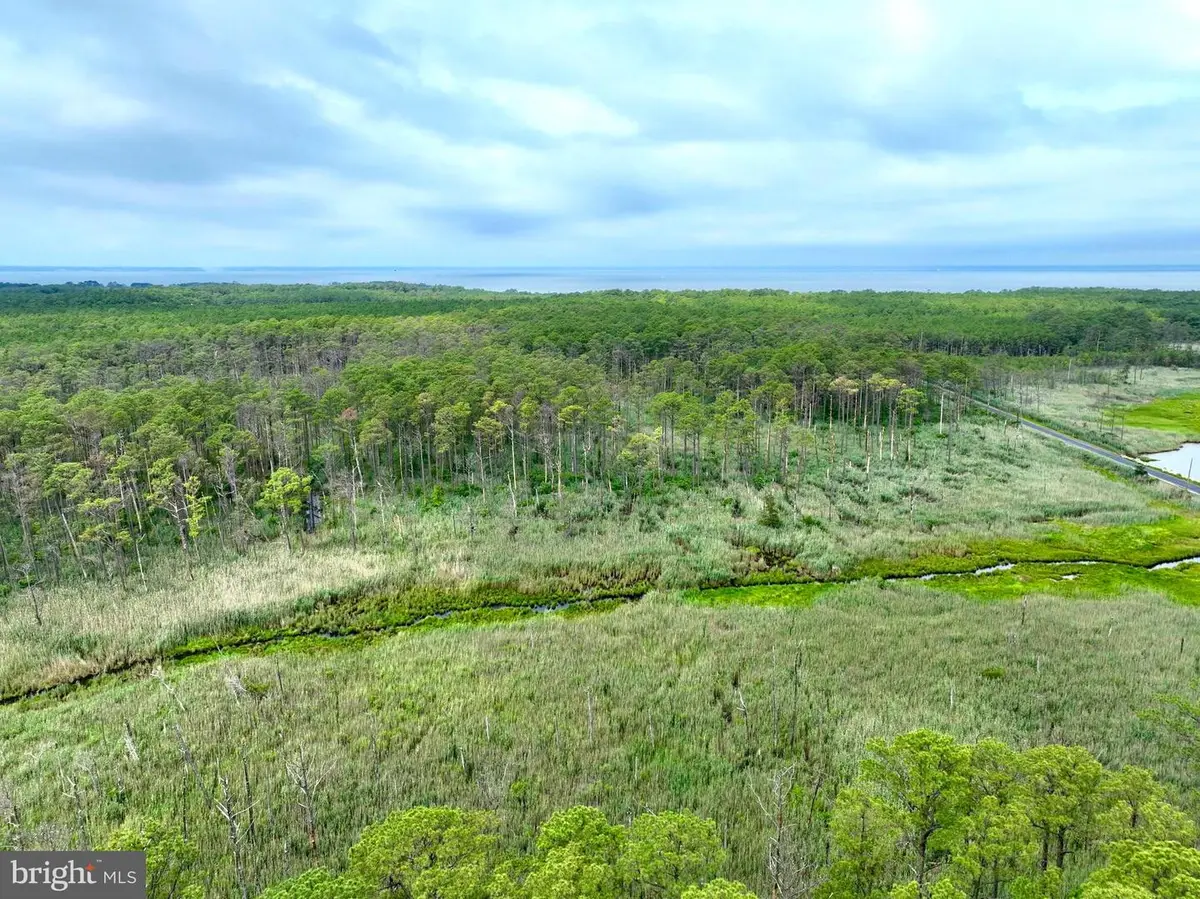 0 Hoopers Neck Rd, Taylors Island, MD 21669 - #1