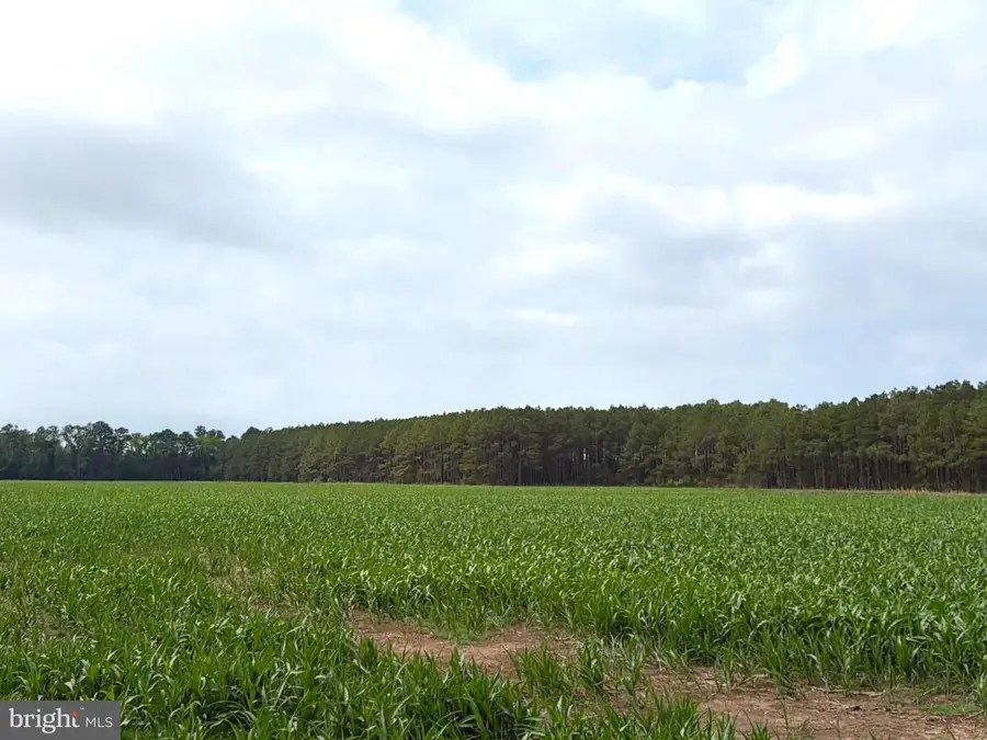 0 Hoopers Neck Rd, Taylors Island, MD 21669 - #2