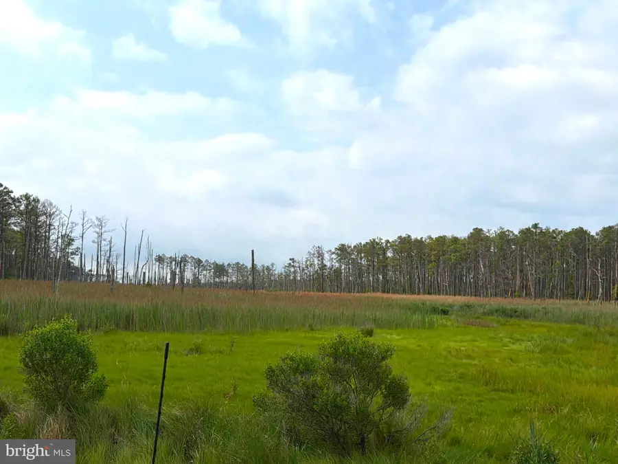 0 Hoopers Neck Rd, Taylors Island, MD 21669 - #3
