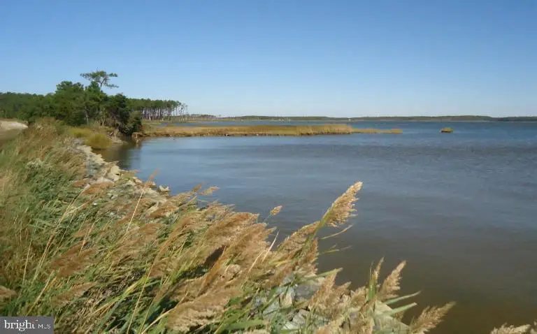 2209 Asquith Island, Crapo, MD 21626 - #3
